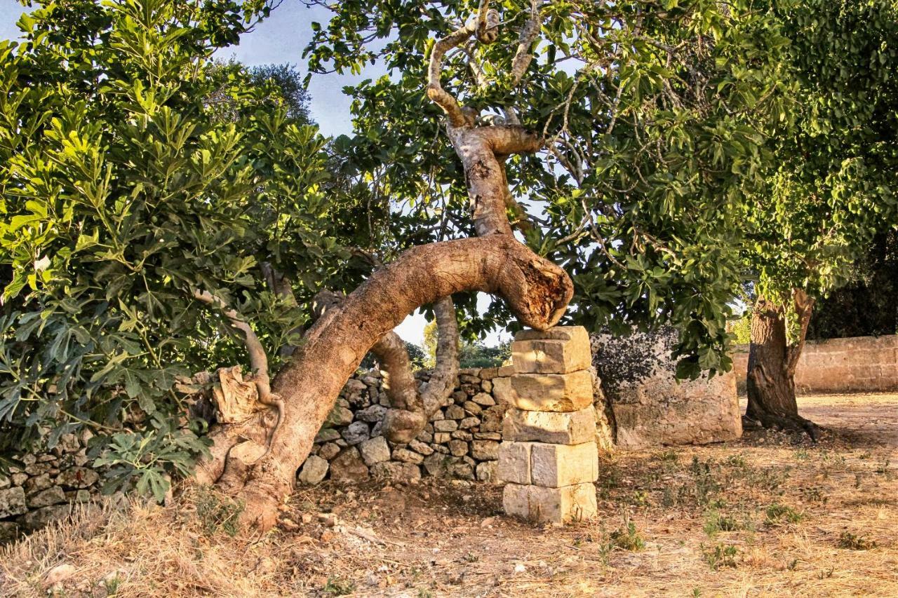 Masseria Costa Corigliano dʼOtranto Zewnętrze zdjęcie